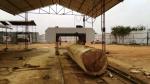 MJ2000 Sawmill big wood log bandsaw sawmill, Woodworking electric large band saw