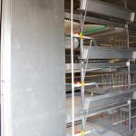 High Efficiency Baby Chick Cage Large Capacity Easy To Clean ISO9001 Approval