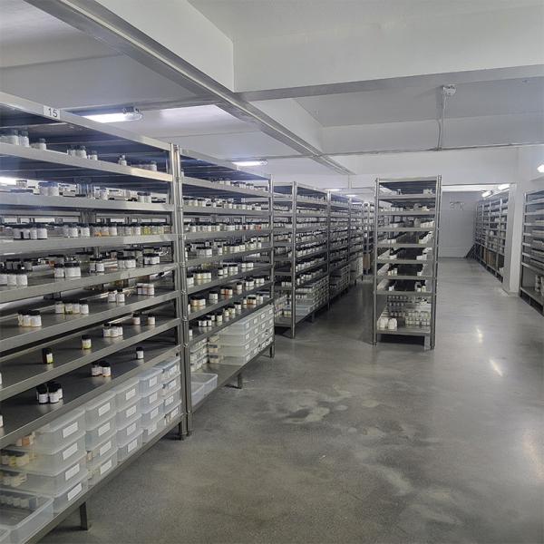 Wholesale Super Concentrated Fresh Scent Floral Lux Fragrance Laundry Detergent Fragrances