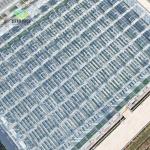 Glass Green House for Plant Tomato and Leaves JX-Glass Span 8m 9.6m 12m