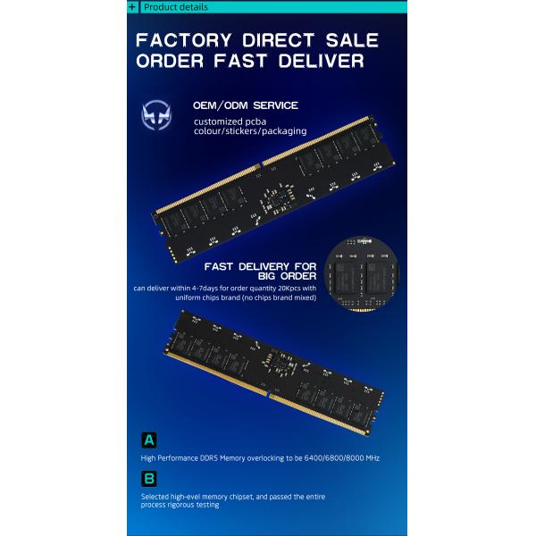 LASTINGIN DDR5 RAM 64GB 6000MHz ECC Desktop Memory