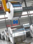 3003 0.3m 0.35mm Rolled Aluminum Coil 3005 3105 5052 5005 Aluminum Sheet Coil