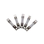 10x38mm High Voltage Ceramic Tube Cartridge Fuse 1~32A For Hybrid Electric