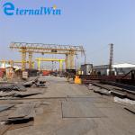 Industrial Used Good Price Factory Electric Euro Type Hoist Single Girder Gantry