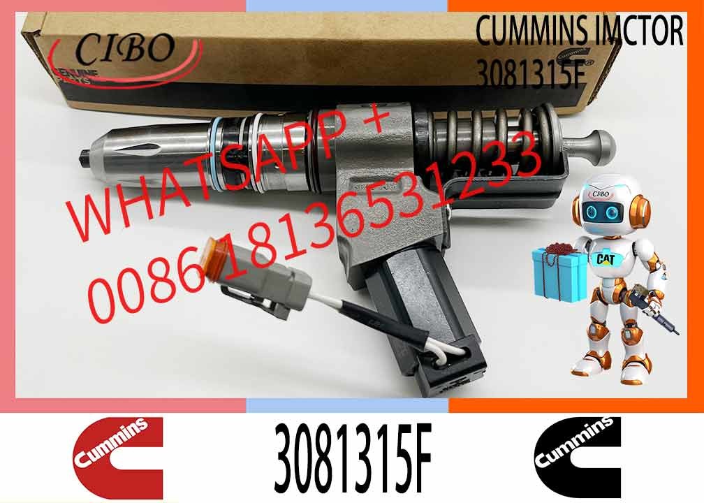 Reliable Fuel Injector Assembly 3081315F For Cummins Engine N14 Series Matching Diesel 3095086