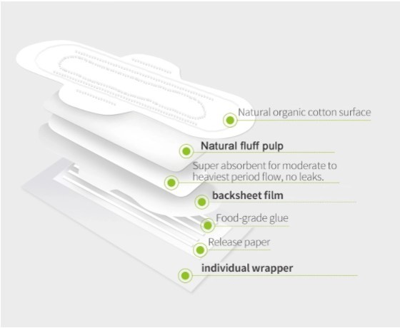 Dry Surface Overnight Sanitary Napkins