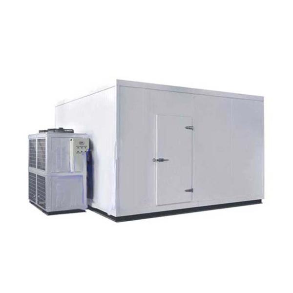 Advanced Customized Cold Storage Room Of Fruits And Vegetables For Optimal