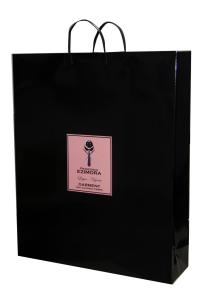 Wholesale Eco-friendly 250gsm Paper Carrier Bag Artpaper Matt Coated PVC Handle from china suppliers