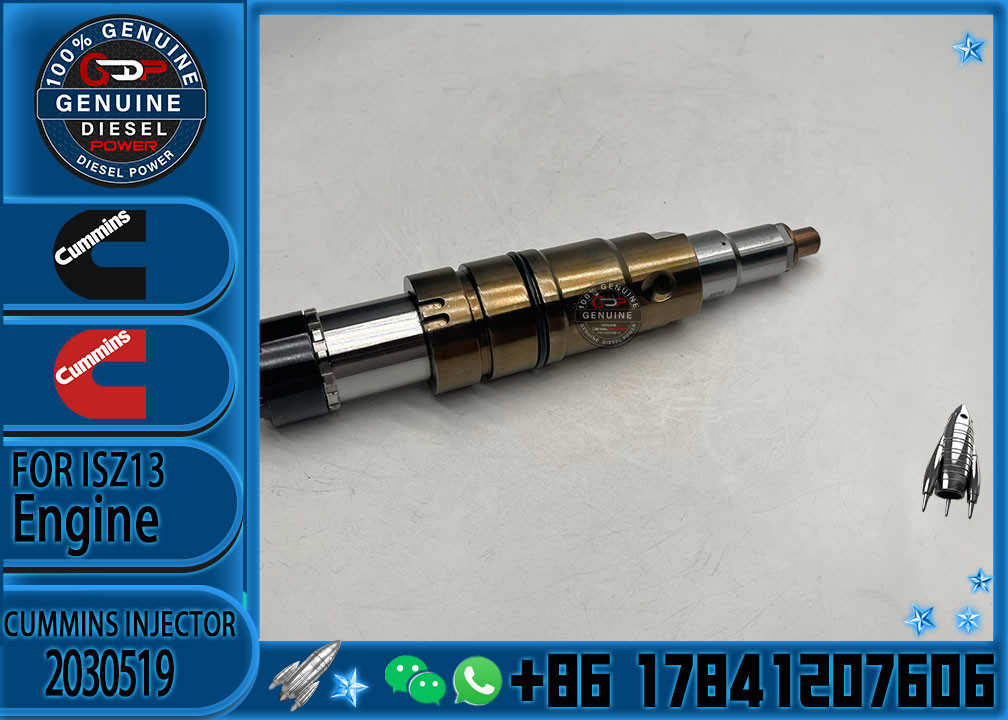 2029622 Genuine Diesel Common Rail Fuel Injector 1948565 2030519 2031836 2031835 2086663