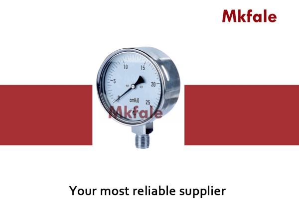 Hydraulic Liquid Pressure Gauge Stainless Steel Pressure Gauge SMCBS On Non -