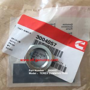 Wholesale CUMMINS ENGINE TEREX 3004057 LOCK NUT NHL DUMP TRUCK MINING QUARRY TR45 TR50 TR60 TR70 from china suppliers