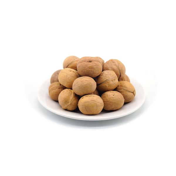 Wholesale Walnuts in shell all natural product good quality supplier walnuts for