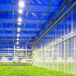 Hot Galvanized Steel Frame Solar Panel Power System For Greenhouse