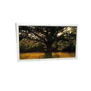 Wholesale 16.0 inch LX160M1BB01 1920*1200 LCD display panel from china suppliers