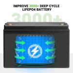 LiFePO4 Solar Lithium Motorhome Batteries 12v 300ah For Caravan Electric