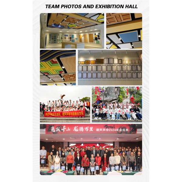 Easy Installation Acoustic Ceiling Panel Decor Interior 3D Wall Panel for Hall