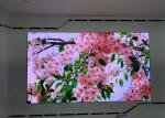 Rental Die-Cast Aluminum Full Color LED Display Module Small/Large Pixel Pitch