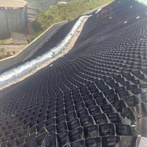 Wholesale Plastic Hdpe Green Gravel Stabiliser Grid Driveway Soil Reinforcement from china suppliers