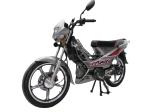 gas moto 110 Chinese forza forsa SCI GSM SLC FTM Factory wholesale 110cc forza