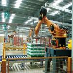 1.5KW Pet Bottle Packing Machine With 800kg Weight And Capacity Of 100-1000