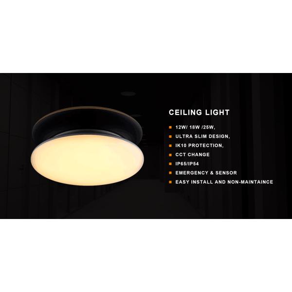Ip65 Dimmable Mini Ceiling Mount Motion Sensor Light Fixture Led Round