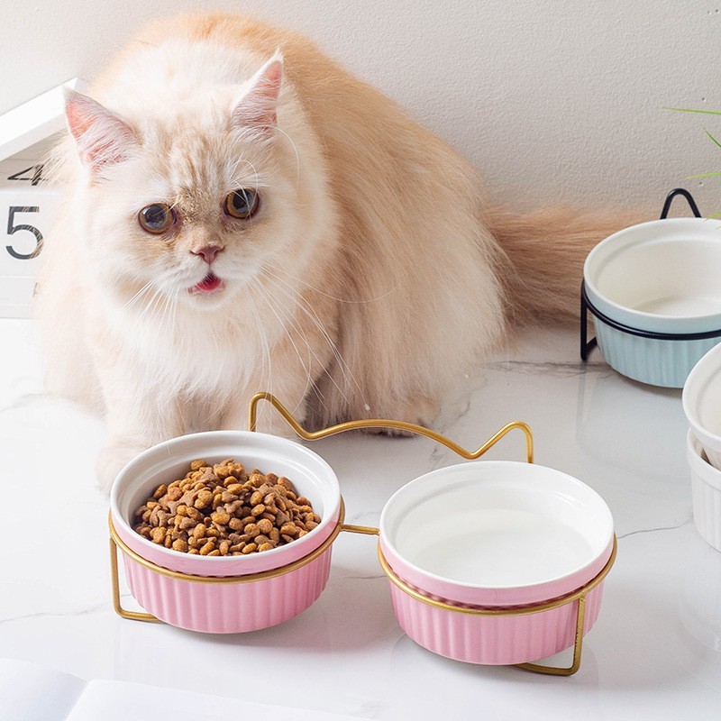 Ceramic Double Bowl Water Bowl High Foot Cat Food Bowl Drinking Bowl Pet Bowl Oblique Mouth Food Bowl Supplies