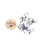 Customized Stainless Steel Screws M3 M4 M5 M6 DIN7982 ISO7050 Cross Recessed