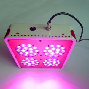 Wholesale CIDLY 4 140w mini growtent grow led full spectrum vegetable growing light from china suppliers