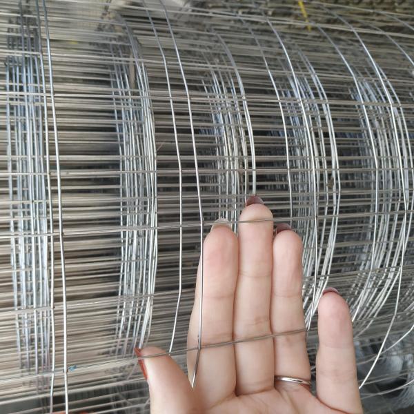 Low Carbon Steel 6 Ft Welded Wire Fencing Panels Concrete Reinforcing For