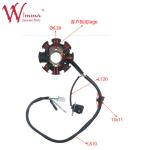 Motorcycle Magnetic Stator Coil Stator Comp Fine FREEDOM(2020)