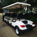 White Lithium 48 Volt Electric Golf Cart 8 Seater Custom