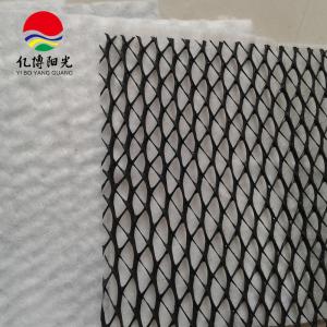 Wholesale Experience the Difference of Our HDPE Mesh 3D Composite Drainage Geonet for Other Uses from china suppliers