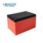 F2 Terminal 10ah Leadyo Battery Lifepo4 Lithium Iron Phosphate Battery Packs