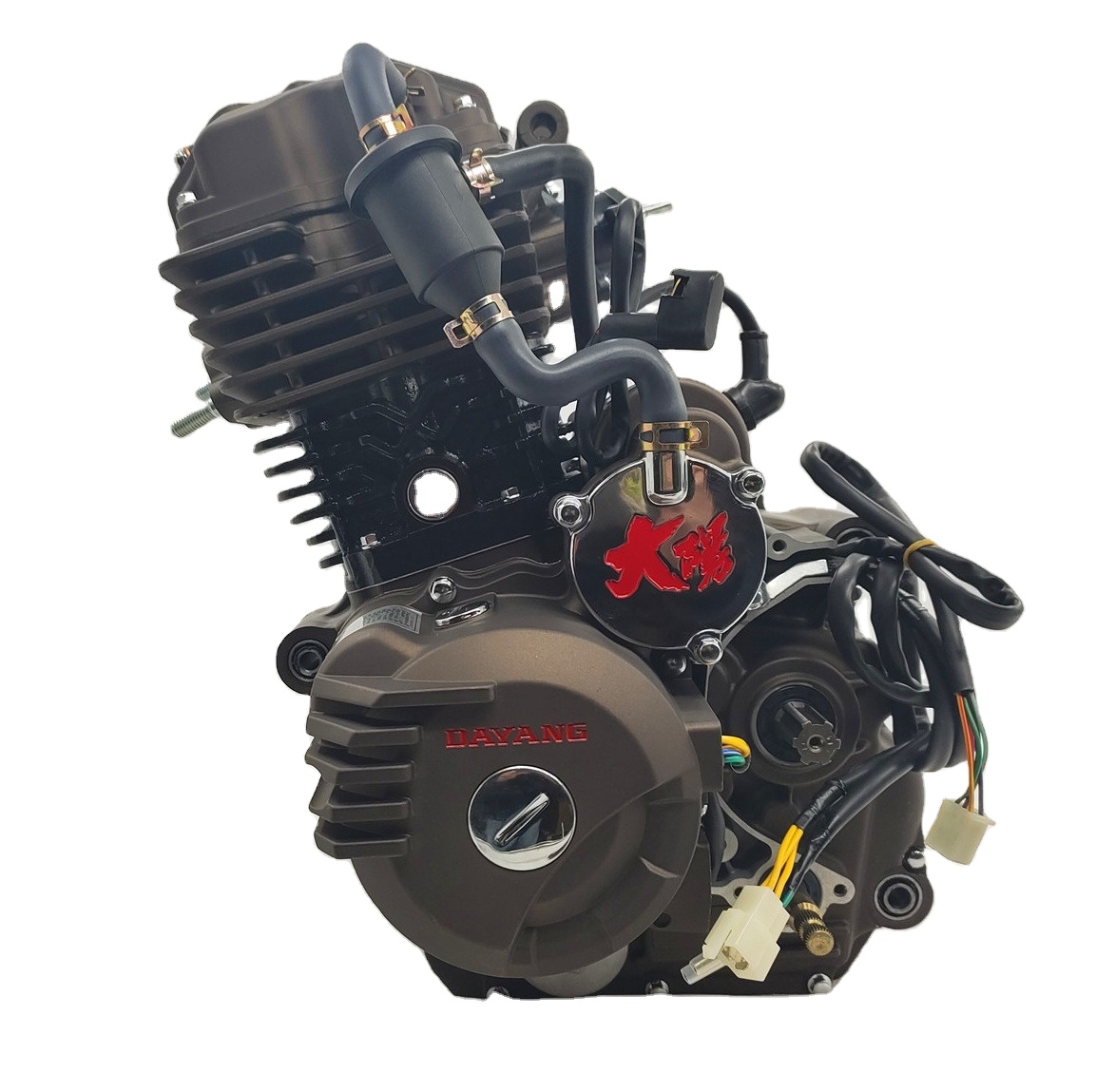 DAYANG Motorcycle Engine Cargo Tricycle Spare Parts with 300cc Water-Cooled Engine