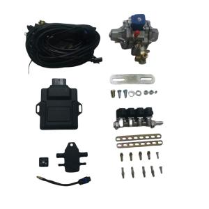 Wholesale CNG LPG Mini Conversion Kits Covers 32 Pin ECU 4 Cylinder Injector Rail LPG CNG Reducer from china suppliers