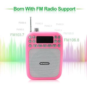 Wholesale teachers voice amplifer speakers with FM radio and voice recording support from china suppliers