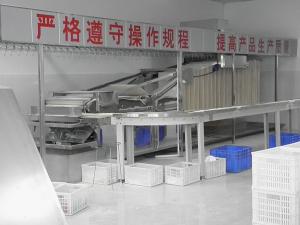 Wholesale Stainless Steel Vermicelli Production Line , Automatic Dried Noodle Making Machine from china suppliers