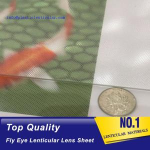 China PLASTIC LENTICULAR lenticular fly eye sheets micro lens arrays-360 degrees 3d animation effect- fly eye dome lens sheets on sale