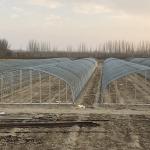 Easy To Install Agricultural Greenhouses for Growing Flowers Vegetables and