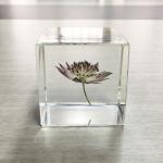 transparent cubic shaped resin paper weight with real dry flowers for home and