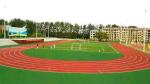 Field / Olive Green Playground Artificial Turf False Grass Lawns Anti-UV