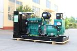 100% Pure Copper Brushless Alternator 200KW Natural Gas Generator for Power