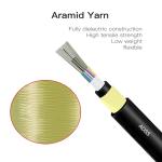 ASSS SM G652D Fiber Optic Cable With LDPE Jacket