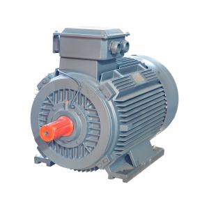 Wholesale AC IP55 Induction Motor Three Phase Fan Motor Electric 0.75KW To 355KW from china suppliers