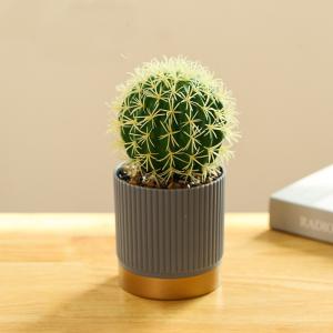 Wholesale Plastic Small Potted Artificial Flowers Faux Potted Cactus Plant Odm from china suppliers