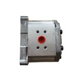 Danfoss Gear Pump 211.25.025.0C SN03NN022RN11DBP1A3A2NNNNNNNNN Silver 22 To 90