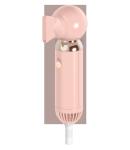 800W Ionic Salon Hair Blow Dryer High Speed With Concentrator