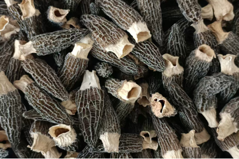 Organic Morel Mushroom (50g)
