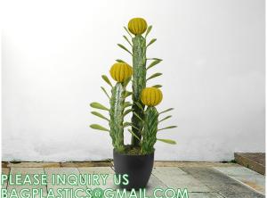 Wholesale Artificial Succulent Plants - Realistic Artificial Flowering Cactus, Fake Succulent Plant Decor for Home Office from china suppliers