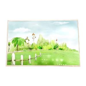 Wholesale High Quality B154SW01 V8 15.4 inch 262K LCD Screen from china suppliers